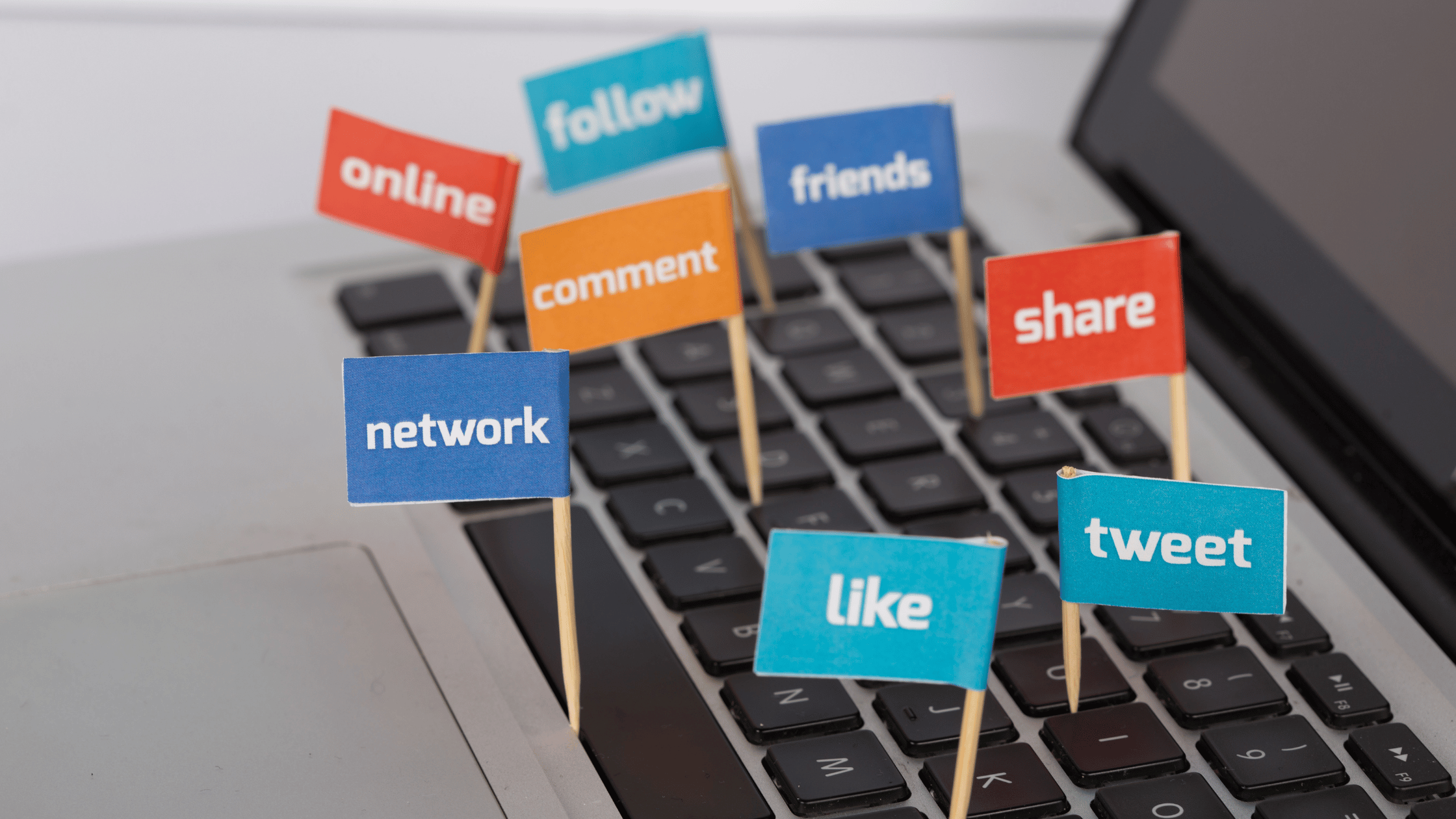 shopify social media marketing